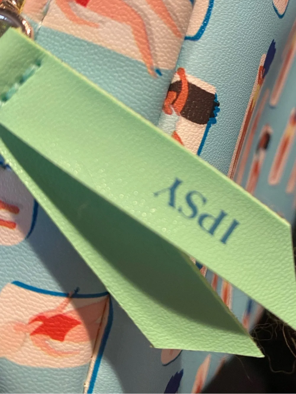 ipsy this summery